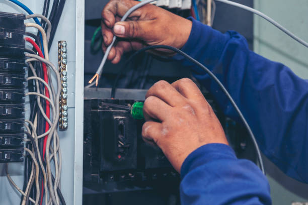 Best Electric Panel Repair  in Bloomingdale, FL